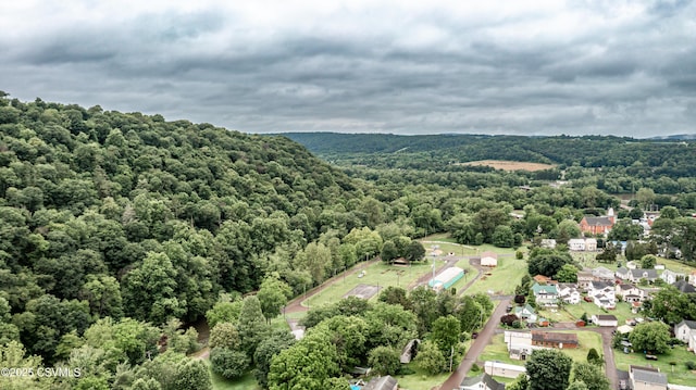 637 Pfahler St, Catawissa, PA 17820 - drone / aerial view of a heavily wooded area