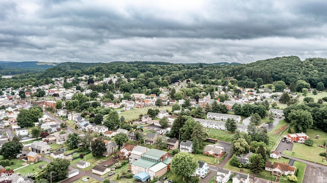 637 Pfahler St, Catawissa, PA 17820 - aerial view of residential area