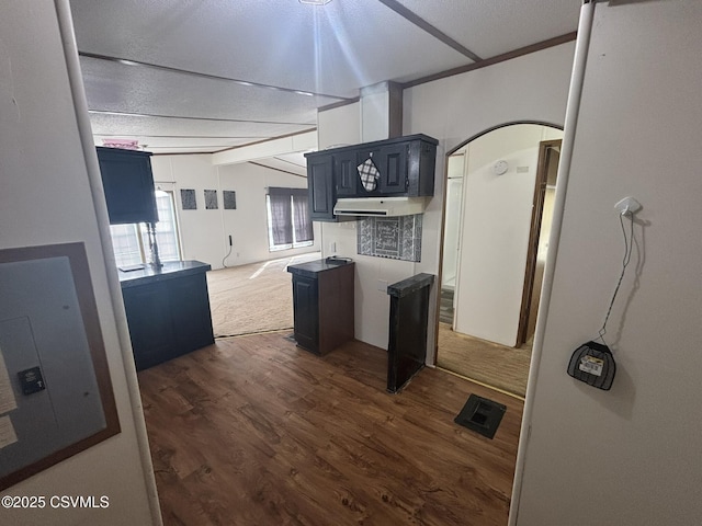 1311 Water St, Northumberland, PA 17857 - kitchen with dark wood-style floors, arched walkways, open floor plan, and lofted ceiling