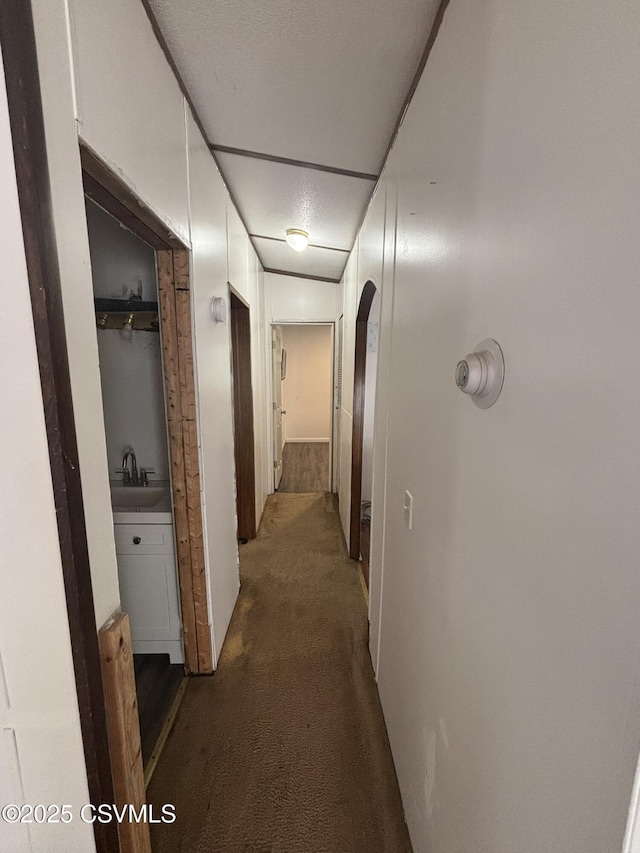 1311 Water St, Northumberland, PA 17857 - hall with carpet and arched walkways