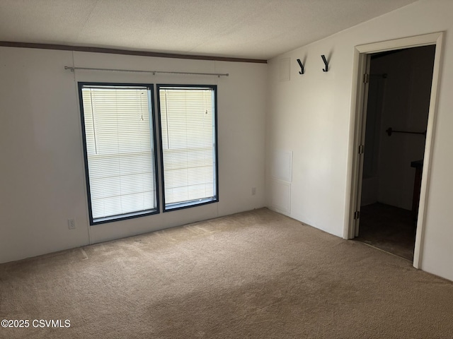 1311 Water St, Northumberland, PA 17857 - empty room with carpet floors and a textured ceiling