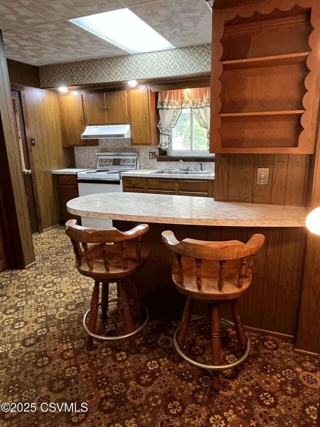 1409 Scott St, Kulpmont, PA 17834 - kitchen featuring under cabinet range hood, electric range, a sink, a kitchen breakfast bar, and light countertops