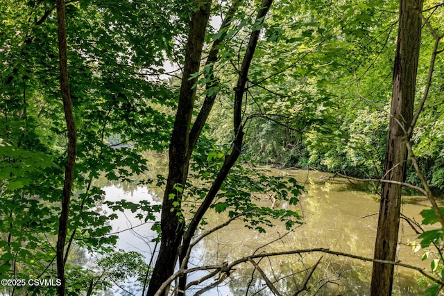 110 W 8th St, Watsontown, PA 17777 - water view featuring a heavily wooded area