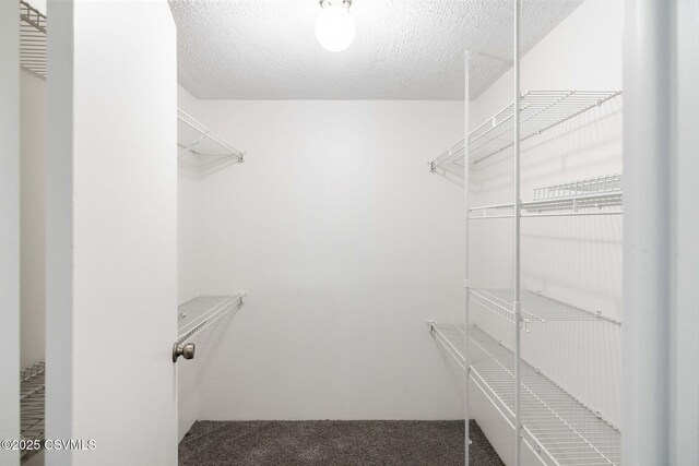 110 W 8th St, Watsontown, PA 17777 - walk in closet with carpet floors
