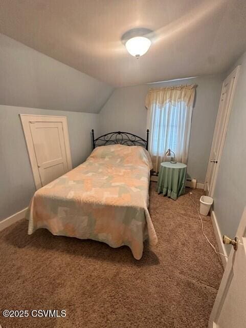 1030 Orange St, Berwick, PA 18603 - bedroom featuring carpet and vaulted ceiling