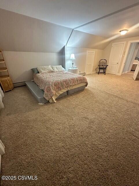 1030 Orange St, Berwick, PA 18603 - bedroom with lofted ceiling and light carpet