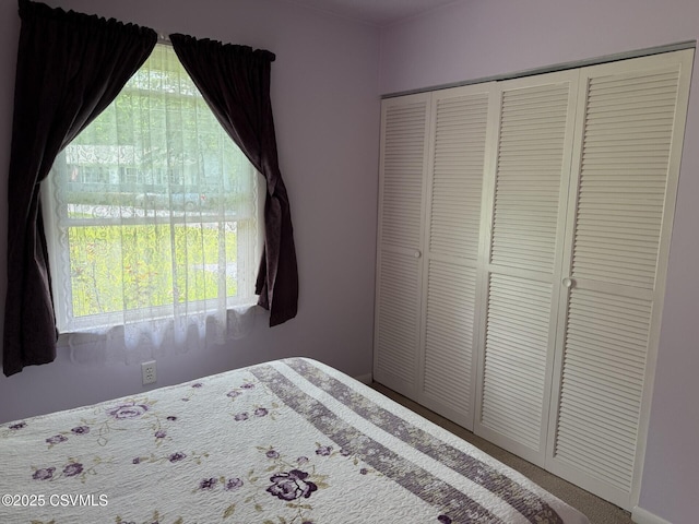 128 Woodside Rd, Sunbury, PA 17801 - carpeted bedroom featuring multiple windows and a closet