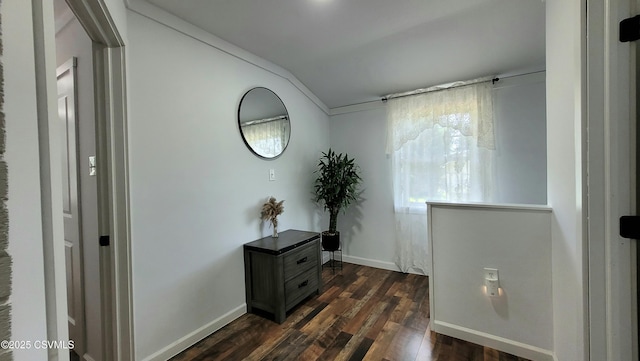 124 E Coal St, Trevorton, PA 17881 - corridor with dark wood-style floors and vaulted ceiling