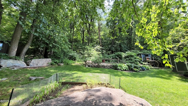 124 E Coal St, Trevorton, PA 17881 - view of green lawn featuring a vegetable garden