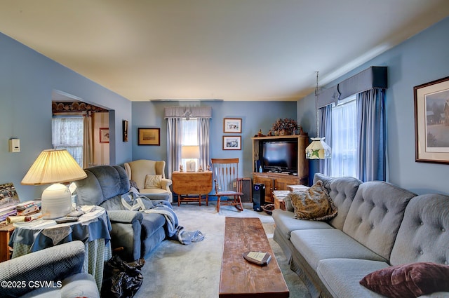 7 N Red Maple St, Selinsgrove, PA 17870 - living room with plenty of natural light and carpet