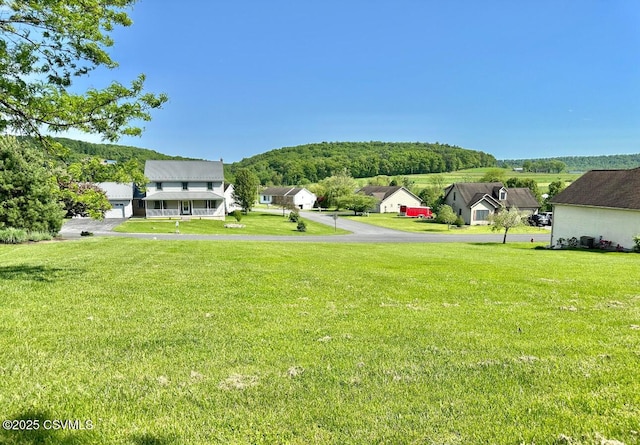 137 St Johns St, Mount Pleasant Mills, PA 17853 - photo 4