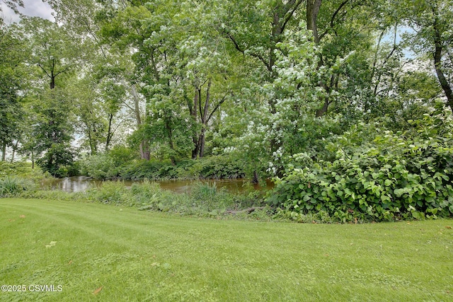 108 Creek Rd, Selinsgrove, PA 17870 - view of green lawn