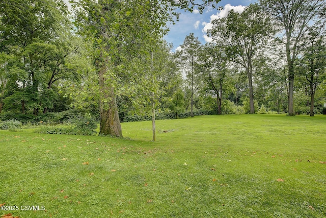 108 Creek Rd, Selinsgrove, PA 17870 - view of green lawn