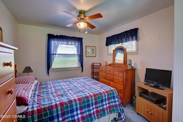 108 Creek Rd, Selinsgrove, PA 17870 - bedroom with dark colored carpet and a ceiling fan
