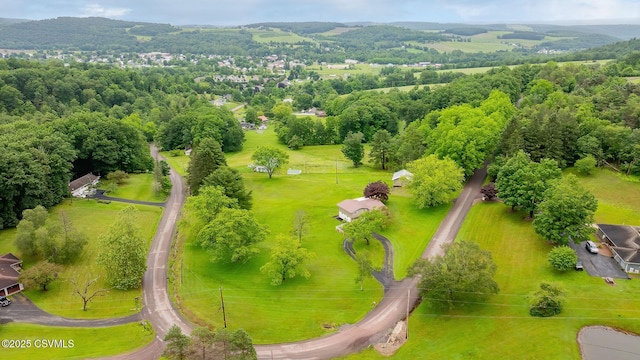 157 Distillery Hill Rd, Benton, PA 17814 - aerial view