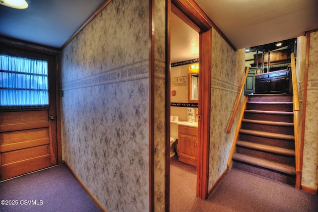 157 Distillery Hill Rd, Benton, PA 17814 - entryway with stairs and carpet