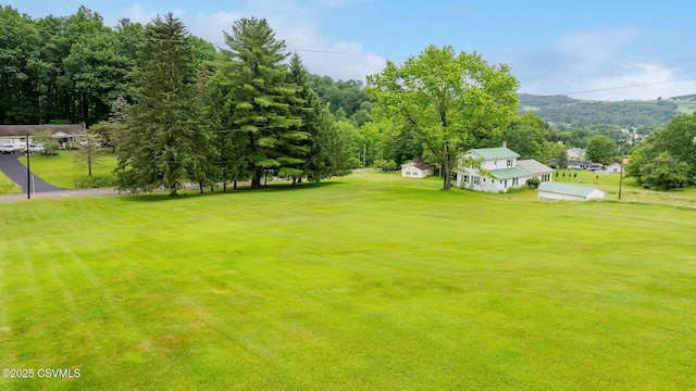 157 Distillery Hill Rd, Benton, PA 17814 - view of grassy yard