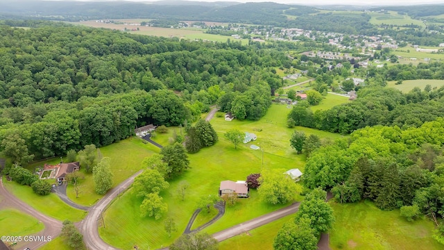 157 Distillery Hill Rd, Benton, PA 17814 - bird's eye view