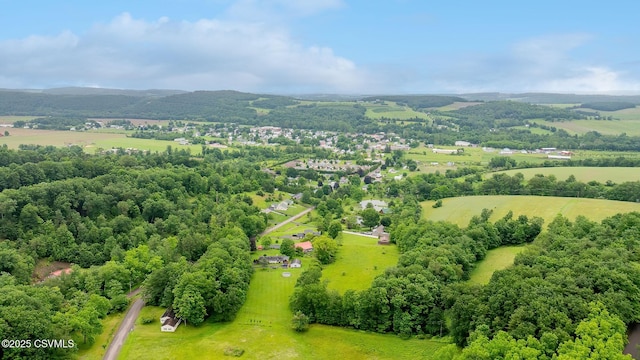 157 Distillery Hill Rd, Benton, PA 17814 - aerial view