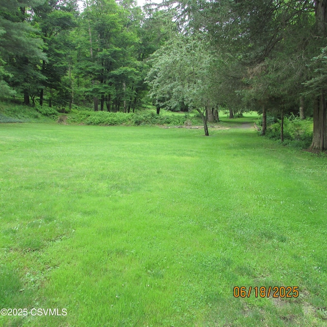 324 Tulip Rd, Paxinos, PA 17860 - view of grassy yard