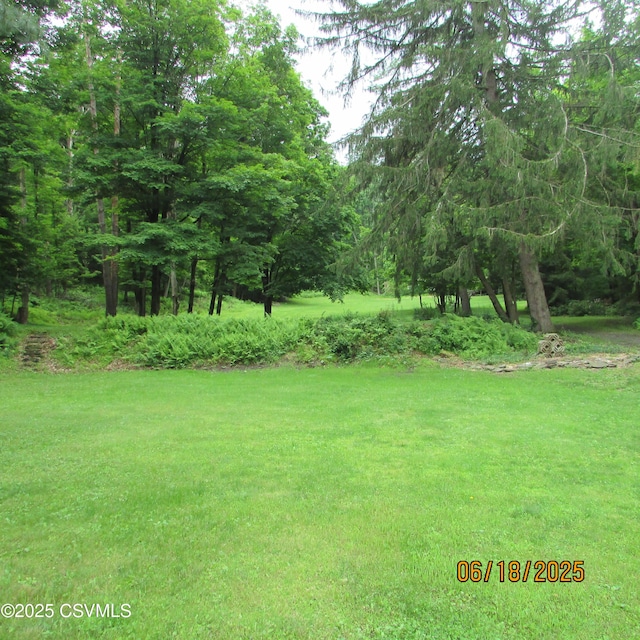 324 Tulip Rd, Paxinos, PA 17860 - view of grassy yard