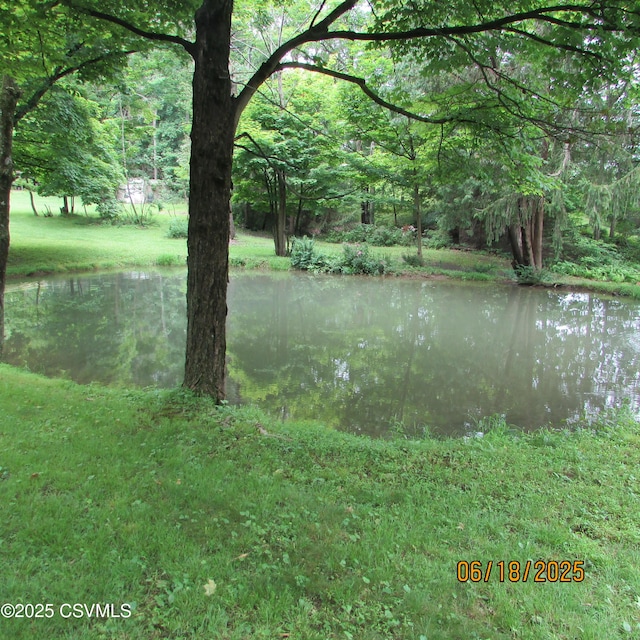 324 Tulip Rd, Paxinos, PA 17860 - water view with a heavily wooded area