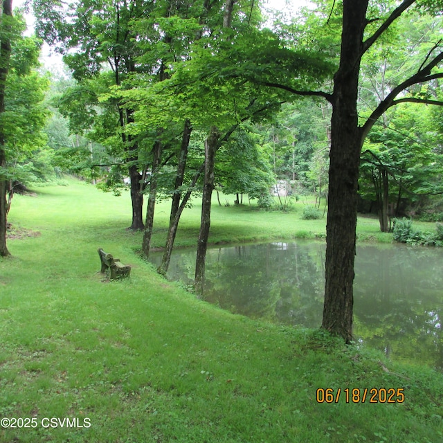 324 Tulip Rd, Paxinos, PA 17860 - water view