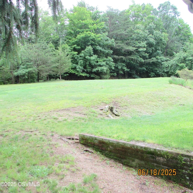 324 Tulip Rd, Paxinos, PA 17860 - view of grassy yard