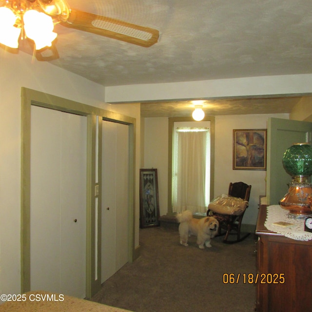 324 Tulip Rd, Paxinos, PA 17860 - interior space with carpet floors, two closets, and ceiling fan