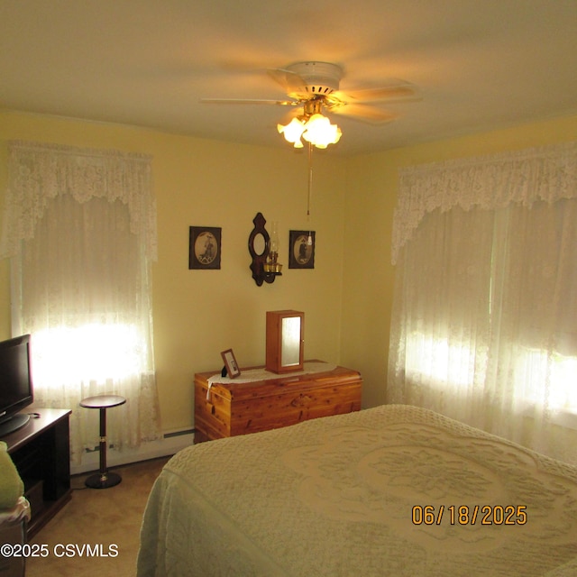 324 Tulip Rd, Paxinos, PA 17860 - carpeted bedroom with multiple windows and ceiling fan