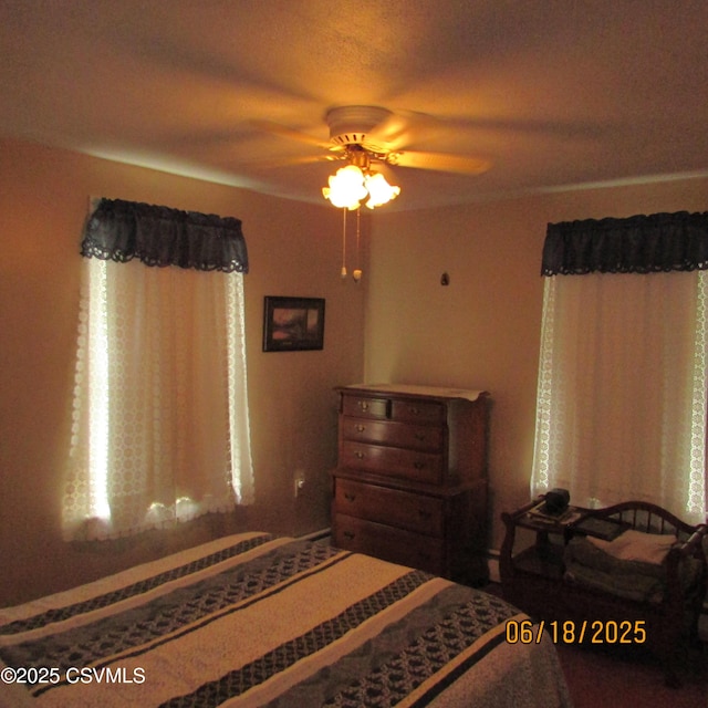 324 Tulip Rd, Paxinos, PA 17860 - bedroom featuring a ceiling fan