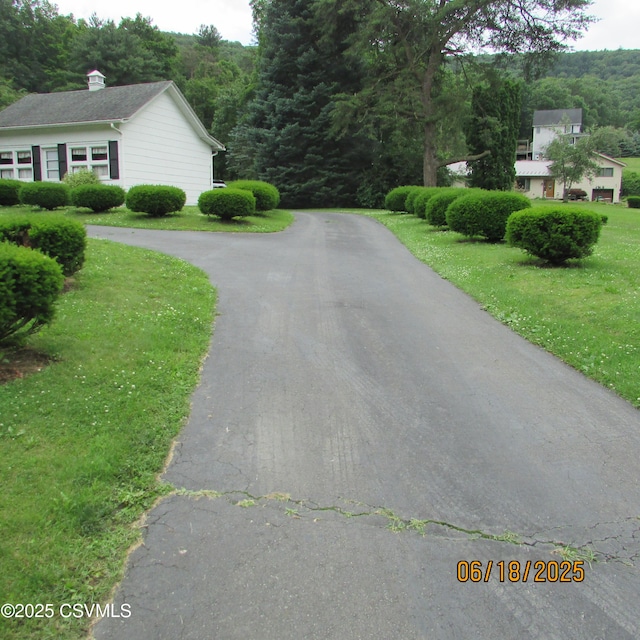 324 Tulip Rd, Paxinos, PA 17860 - view of property exterior with asphalt driveway and a yard