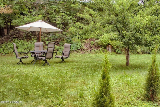 107 17th St, Coal Township, PA 17866 - view of green lawn