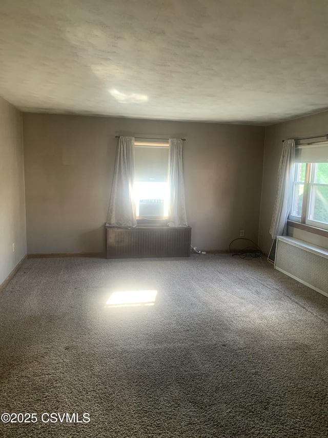 1542 1st Ave, Berwick, PA 18603 - unfurnished room with radiator and carpet