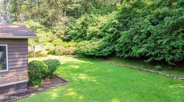 39 Mckendree Rd, Shickshinny, PA 18655 - view of grassy yard
