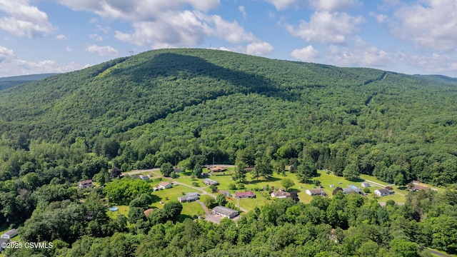 39 Mckendree Rd, Shickshinny, PA 18655 - aerial view of a mountain backdrop