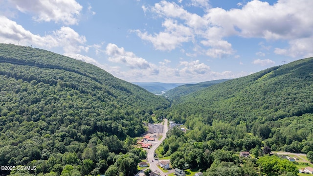 39 Mckendree Rd, Shickshinny, PA 18655 - view of mountain backdrop with a heavily wooded area
