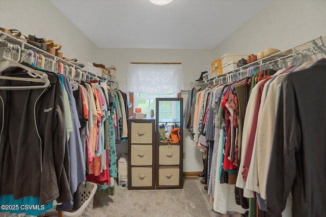110 Buckeye Ln, New Columbia, PA 17856 - spacious closet with carpet