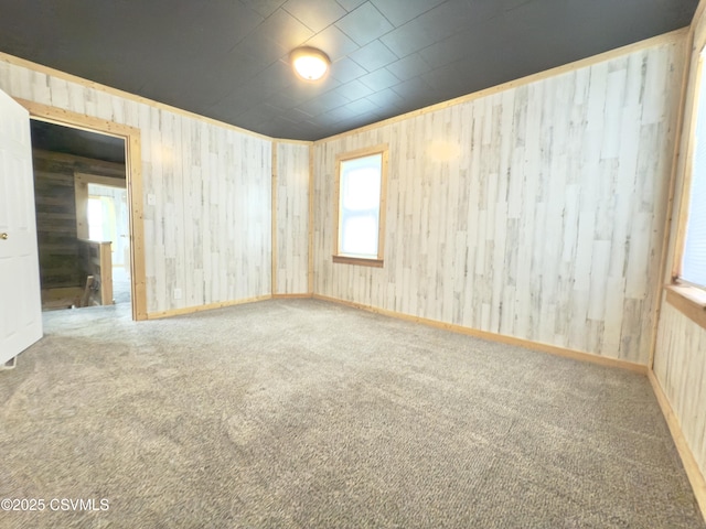 333 E Bowman St, Berwick, PA 18603 - spare room with carpet floors and wood walls