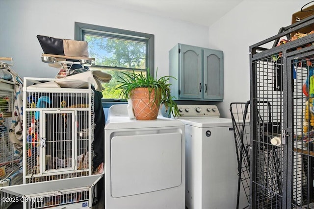 1146 Great Oak Dr, East Stroudsburg, PA 18301 - laundry area featuring washing machine and clothes dryer and cabinet space