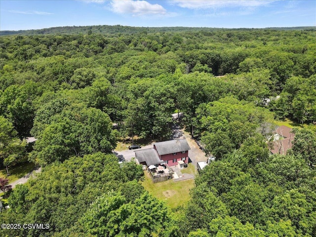 1146 Great Oak Dr, East Stroudsburg, PA 18301 - view of subject property featuring a forest