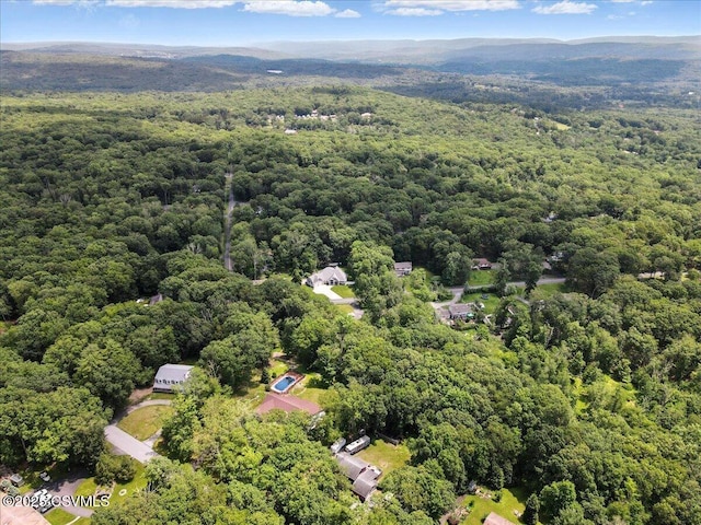 1146 Great Oak Dr, East Stroudsburg, PA 18301 - bird's eye view of a forest