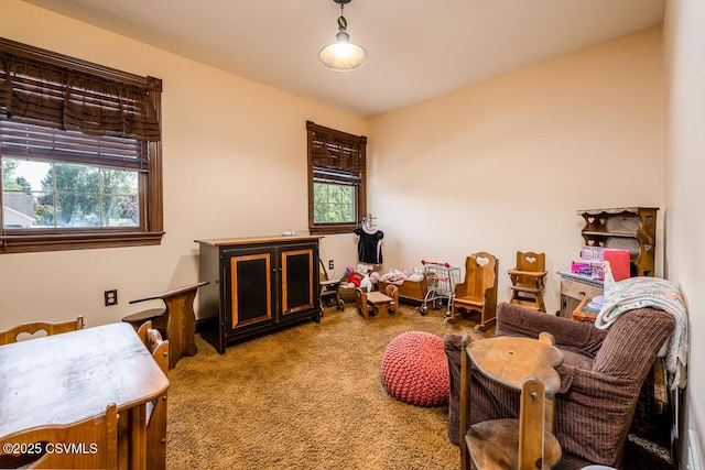 81 Old Orchard Rd, Milton, PA 17847 - photo 19