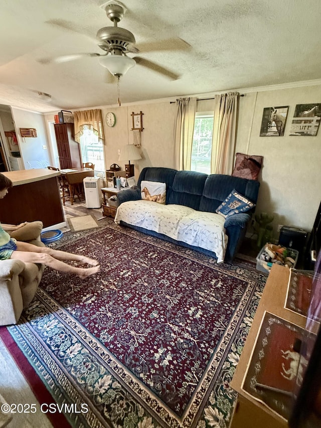 57 Buckhorn Rd, Bloomsburg, PA 17815 - living area with plenty of natural light, a ceiling fan, a textured ceiling, and ornamental molding