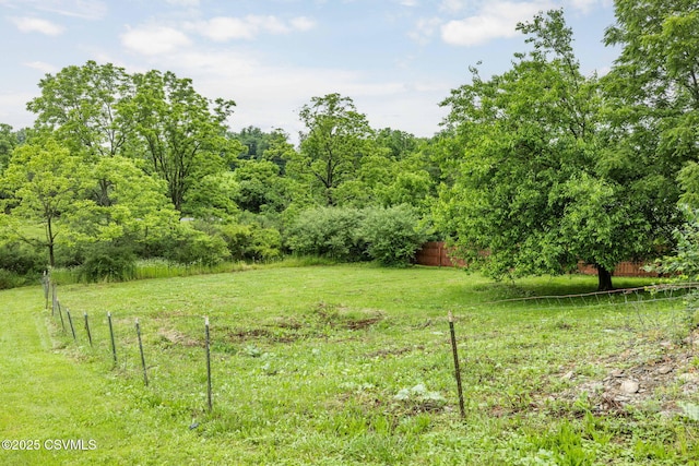 190 Foggy Mountain Rd, Turbotville, PA 17772 - view of yard