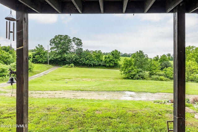 190 Foggy Mountain Rd, Turbotville, PA 17772 - view of green lawn featuring view of wooded area