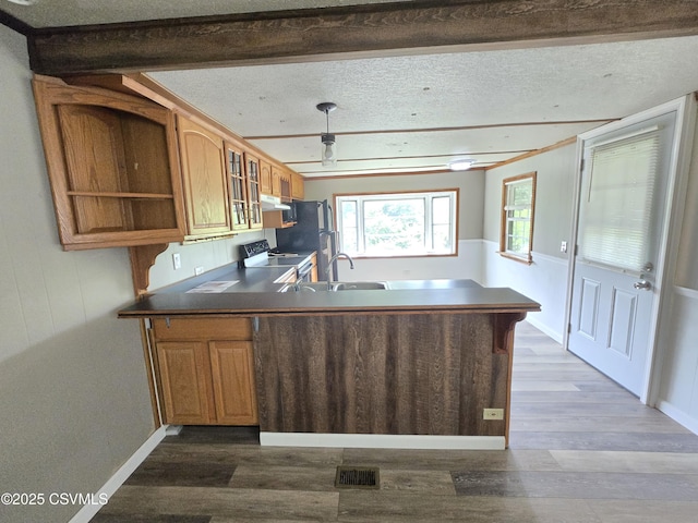 1824 Smalsh Barrick Rd, Middleburg, PA 17842 - kitchen featuring electric range, dark wood-style floors, freestanding refrigerator, a peninsula, and under cabinet range hood