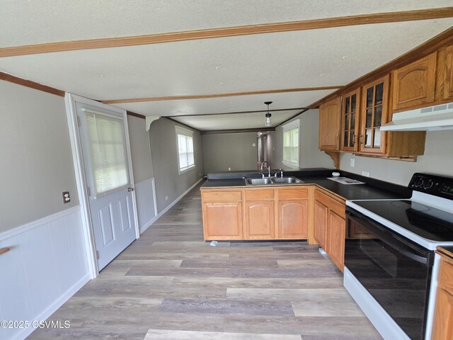 1824 Smalsh Barrick Rd, Middleburg, PA 17842 - kitchen with range with electric stovetop, under cabinet range hood, a peninsula, dark countertops, and light wood-type flooring