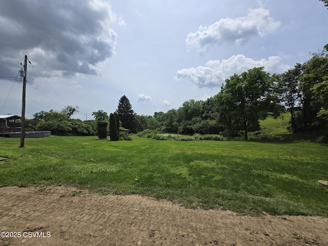 1824 Smalsh Barrick Rd, Middleburg, PA 17842 - view of yard