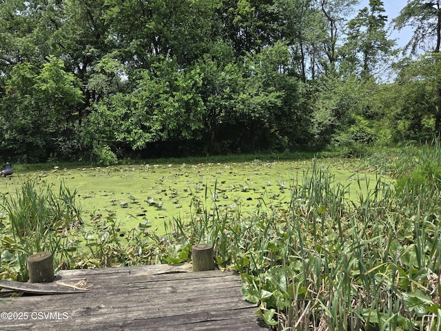1824 Smalsh Barrick Rd, Middleburg, PA 17842 - view of grassy yard